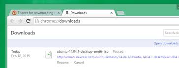 crdownload file and can you delete it