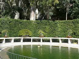 Terraza Alta O De Los Laureles Real Jardin Botanico De Madrid Real Jardin Botanico Arquitectura De Jardines Jardin Botanico