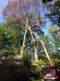 Wales, np253bd 01600 772294 those who used to run the service moved out in 2006 and didn't remove this number from lis. Flynn Tree Service