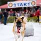 2025 Sunriver Brewing Co. K9 Keg Pull