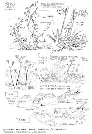 Pin By Tlms Ab On References Landscape Sketch Plant Sketches Nature Sketch