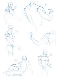 Collection by angel ponce de leon. Deltoid Study Any Pointers Learnart