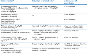 Anaesthesia Of The Cat Veterian Key