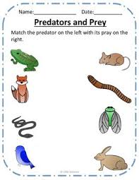 In This Activity Students Match Predators With Their Prey Two Version Are Included One With Ocean Animals And One Food Chain Activities Predator Food Chain
