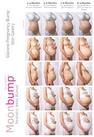 Detailed Pregnancy Belly Growth Chart Week Belly Growth Week