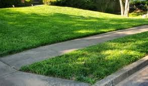 Refinish existing wood flooring location: 1 Bakersfield Ca Lawn Care Service Lawn Mowing From 19 Best 2021