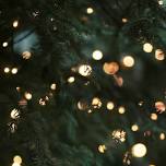 Holiday Magic