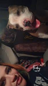 Lost pet returns home safely