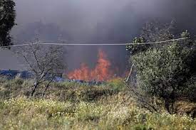 O fogo, na localidade de casainhos, tinha às 18h15 uma frente ativa e. Bombeiros De Sacavem Exigem Solucao Imediata Para Desalojados Do Incendio Em Paiol Portugal Sabado