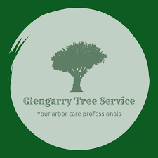Here at branch manager's tree care, we routinely field questions from customers related to the timing of projects. Tree Pruning And Trimming In Cornwall Glengarry Tree Service