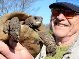 Du gjetter ikke hvor denne hjorten ble felt onsdag i en helt ny jakt