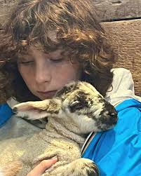 Only a few days of lamb snuggling remain. Huge thanks to all of the  visitors and new friends who have either returned to the farm for lamb  snuggles or have come for