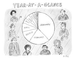 year at a glance a pie chart of the months by roz chast