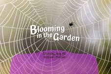 Blooming in the Garden