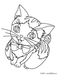 Peruse our list of cat coloring sheets below. Cat Coloring Pages Kitten Cat Coloring Page Cat Drawing For Kid Animal Coloring Pages