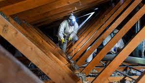 Maybe you would like to learn more about one of these? Attic Cleaning Service Attic Decontamination