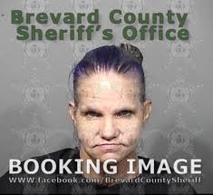 Arrests In Brevard County: October 19, 2020