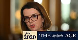 Newstart drug tests: Social Services Minister Anne Ruston unsure of Senate  support for trial