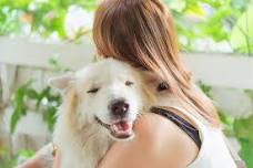 Therapy Dog Group Class (6 week)