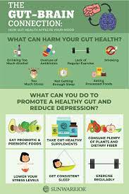 The Gut Brain Connection How Gut Health Affects Your Mood Infographic Gut Brain Gut Health Good Gut Bacteria