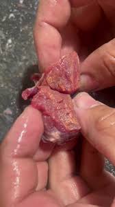 Newbie here, it’s hard to catch on camera but why does this meat seem to  have an oil slick affect in some angles it’s super noticeable? I think it  came from the neck region, I cut it up for grind | ...