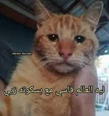 لعنة الفراعنة عشقت فرعون witty instagram captions cute memes cute stories