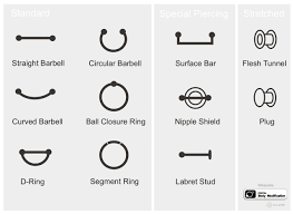 Types Of Ear Piercings Piercing Jewelry Piercing