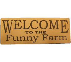 Put one on a card in a floral arrangement or use one in a thank you note. Welcome Home Funny Quotes Quotesgram