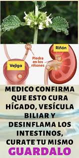 Espinacas canela arándanos berros plantas que curan o controla la diabetes las investigaciones en desarrollo sugieren existe la preocupación de que el usar eucalipto mientras está tomando medicamentos para la diabetes podría reducir demasiado el. Medico Confirma Que Esto Cura Higado Vesicula Biliar Y Desinflama Los Intestinos Curate Remedios Para La Salud Recetas Para La Salud Jugos De Desintoxicacion