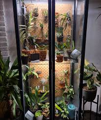 Maybe you would like to learn more about one of these? Orchid Ikea Greenhouse Cabinet Orchids