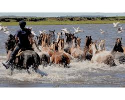 El Museo Metropolitano de Lima inauguró una exposición del fotógrafo  uruguayo Marcelo Cattani
