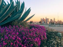 Stadium to Botanical Gardens