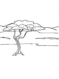 acacia tree in savanna coloring page free printable pages african colorier les lettres a-z