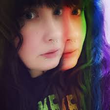 What horse is suitable for a forever home as a trail horse in Florida?