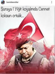 Adli Kullanicinin Vatanim Sensin Panosundaki Pin 2020 Resimler Sanatsal Resimler 15 Temmuz