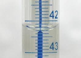 Capillarita
