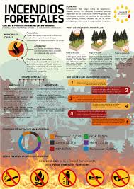 Sepa cómo protegerse y proteger a su familia de un incendio forestal, cómo evacuar de manera segura durante uno y cómo mantenerse sano cuando regrese a casa. Incendios Forestales Infografia On Behance