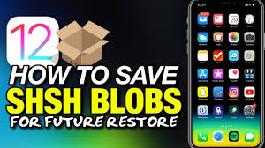 How To Save Ios 12 Shsh Blobs With Tss Saver For Iphone Ipad Ipod Youtube