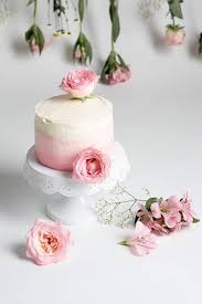 Cake Smash Torte Selbermachen Rezept Kuchen Zerschlagen Cake Rezepte Kuchen Ideen