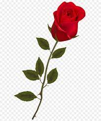 See what bunga ros (bunga_ros) has discovered on pinterest, the world's biggest collection of ideas. Rose Leaf