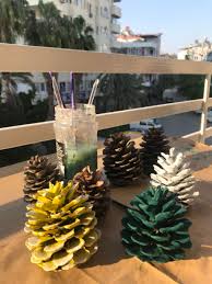 Tasa Degen Elim Panosundaki Pin