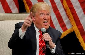 Image result for Trump ugly face