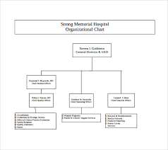 Hospital Organizational Structure Philippine General