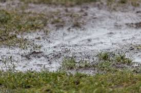 Let's take a look at the signs your landscaping might have poor drainage — and the top 5 ways you can divert water away from your house. How To Stop Water Runoff From Your Neighbor S Yard My Backyard Life