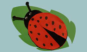 52 bewundernswert marienkäfer vorlage ideen. Marienkafer Basteln Www Jesus Liebt Kinder De