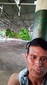 Julien Rochedy Pro Israel