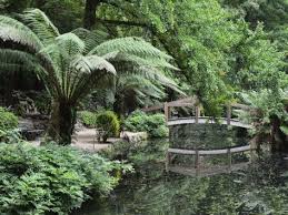 Alfred Nicholas Gardens Dandenong Ranges National Park Dandenong Ranges Victoria Australia Photographic Print Jochen Schlenker Art Com National Parks Scenic Australian Garden