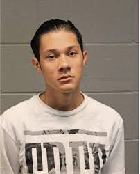 ᐅ Illinois Criminal Records 2009-2025