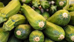 Zucchini Magenkrampfe Ubelkeit Erbrechen Warnung Vor Bitterem Gemuse Sudwest Presse Online