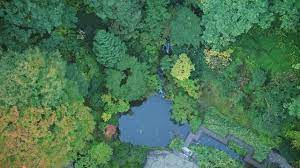 Hitta perfekta pond from above bilder och redaktionellt nyhetsbildmaterial hos getty images. The Lower Pond From Above Youtube
